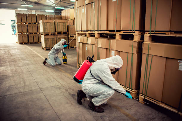 Best Bed Bug Extermination  in Rockledge, FL