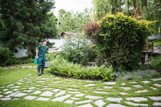 Best Residential Pest Control  in Rockledge, FL