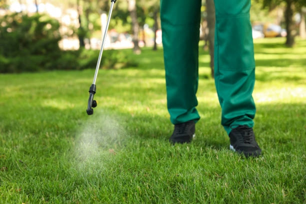 Flea Control Services in Rockledge, FL