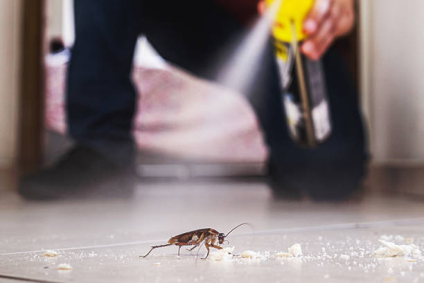 Best Cockroach Control Services  in Rockledge, FL