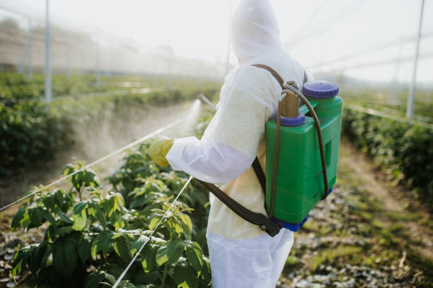Rockledge, FL Pest Control Company